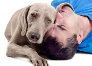 טיפול באמצעות כלבים