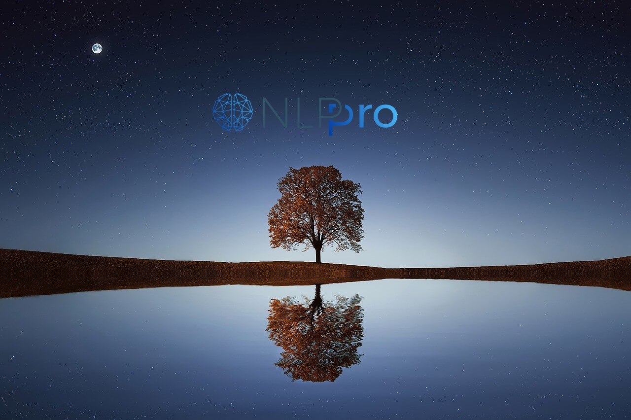 מכללת NLP PRO