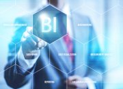 פריוריטי – מערכת BI– בינה עסקית